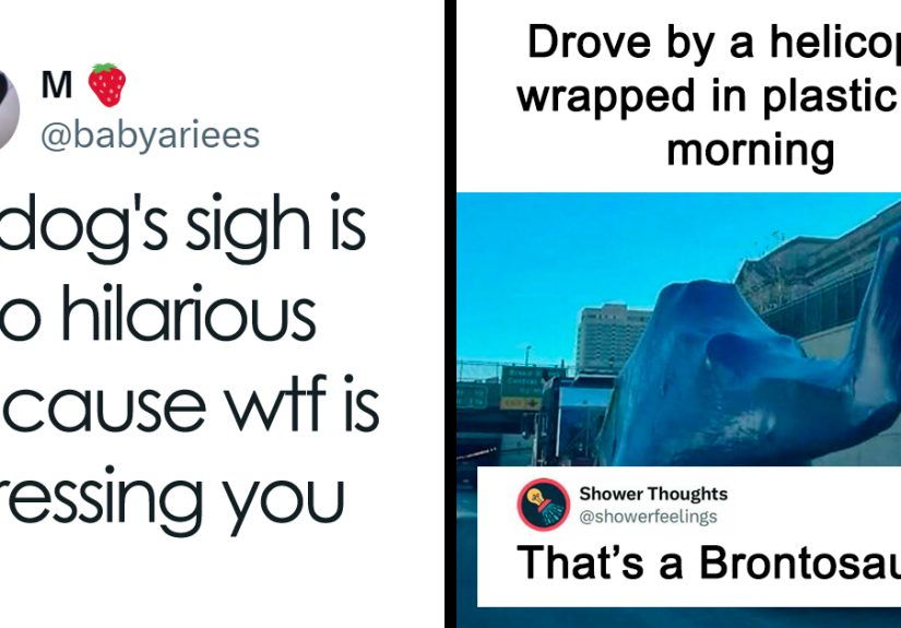 50 Memes And Jokes You Shouldn’t Read If You Don’t Want To Get Smile Wrinkles