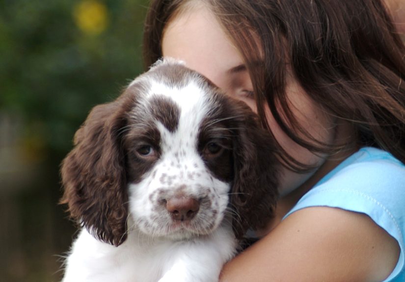 Animal Cruelty Is Now Officially A Nationwide Felony In The USA