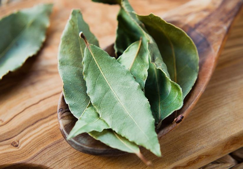 Can You Eat Bay Leaves?