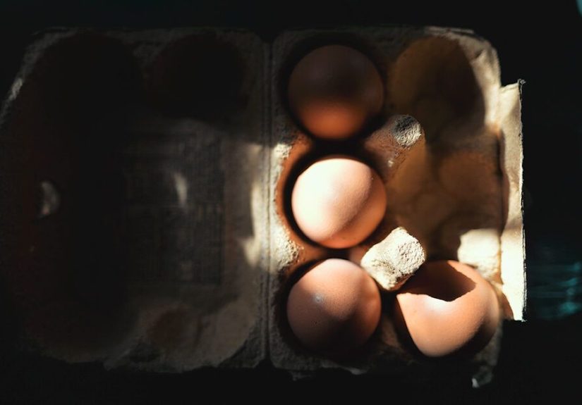 Eggs and Stomach Ulcers: Do They Help or Hurt?