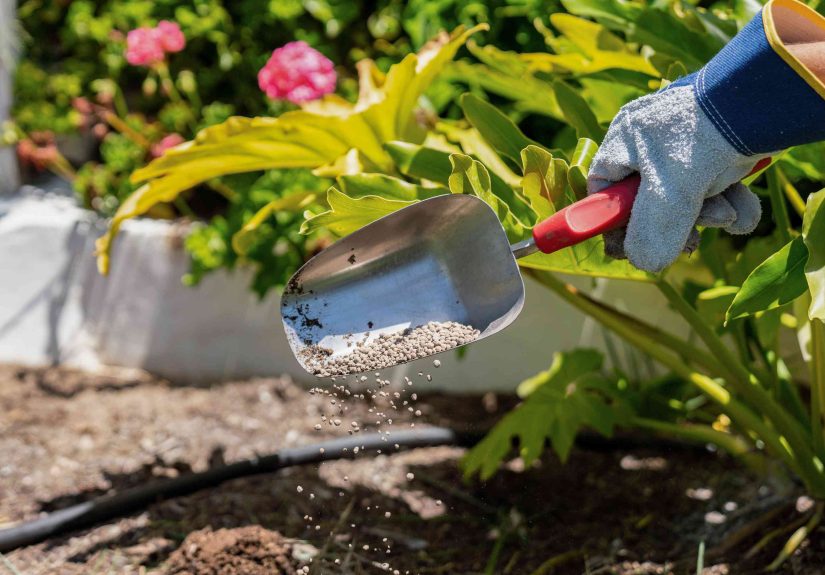 Garden Lime: What It Is & Its Uses in Landscaping