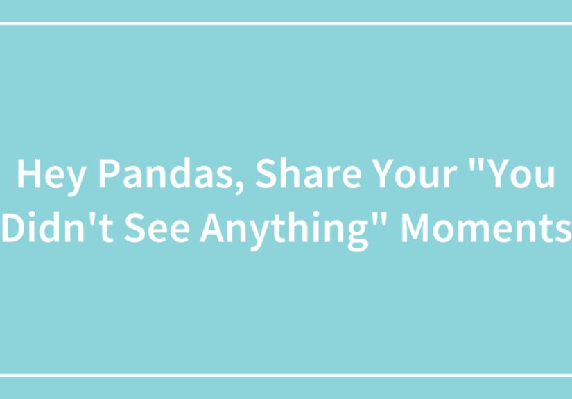 Hey Pandas, Share Your “You Didn’t See Anything” Moments