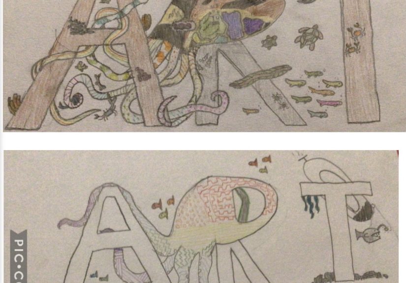 Hey Pandas, Show Us One Of Your Art Comparisons