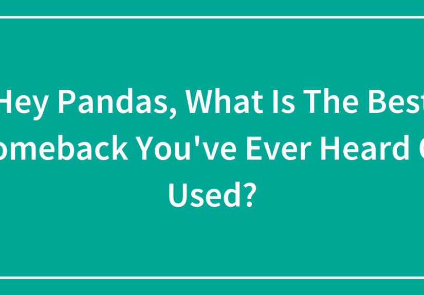 Hey Pandas, What Is The Best Comeback You’ve Ever Heard Or Used?