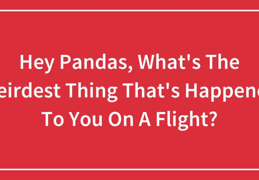 Hey Pandas, What’s The Weirdest Thing That’s Happened To You On A Flight?