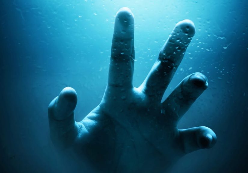 How This Sea Creature Became Immortaland How Humans Could, Too