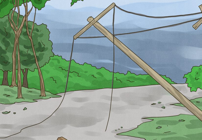 How to Survive a Tsunami: 11 Steps