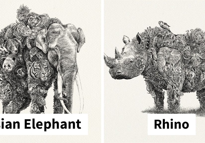 My 6 Intricate Animal Drawings Support Wildlife Conservation And Celebrate Biodiversity Of The Earth