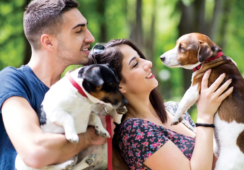 Playing with Dogs Helps People Concentrate and Relax, Study Says