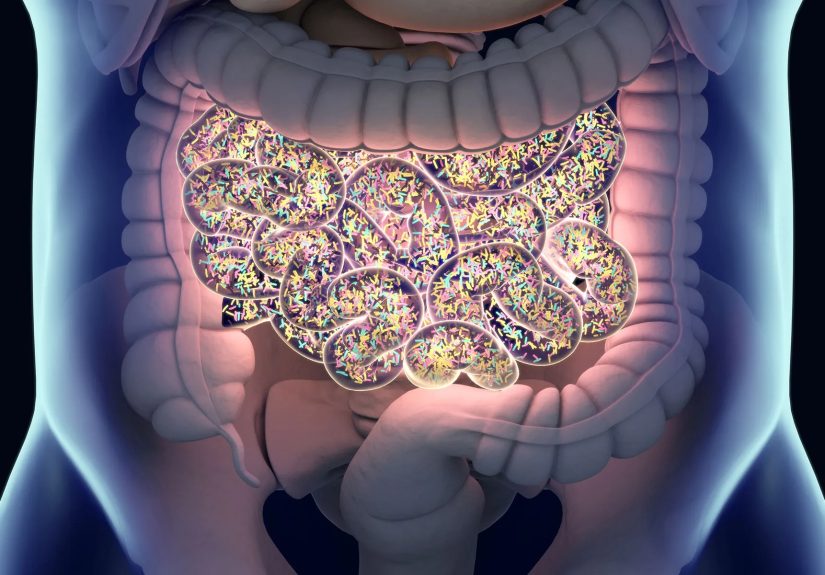 Prebiotics and Probiotics for Eczema: Can They Help?