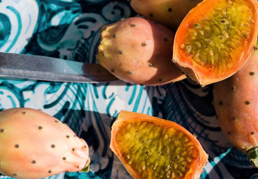 Science-Backed Benefits of Prickly Pear Cactus