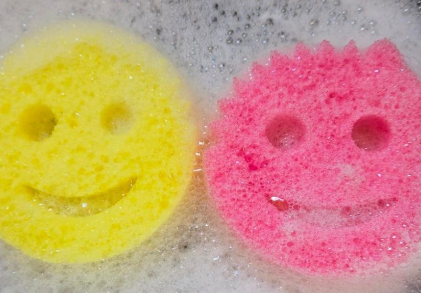 Scrub Daddy vs. Scrub Mommy: Which Cleans Best?