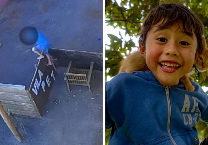 “Tragic Story”: After 9YO Brutally Attacked 23 Animals, Psychopathy Expert Debunks Myths