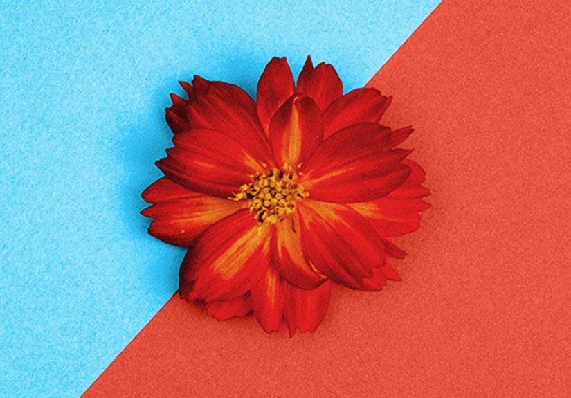 Vaginal Flora: History, Impact on Health, and Maintenance