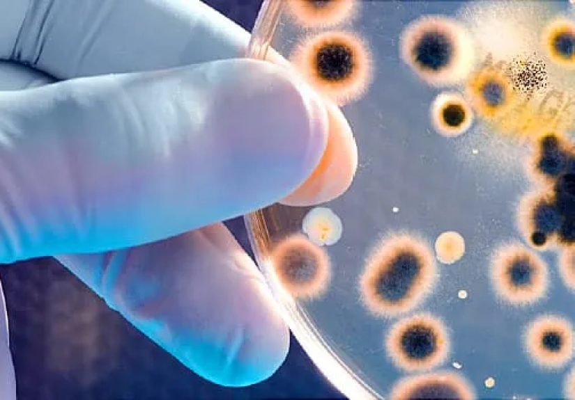 Video on Meningitis Treatments