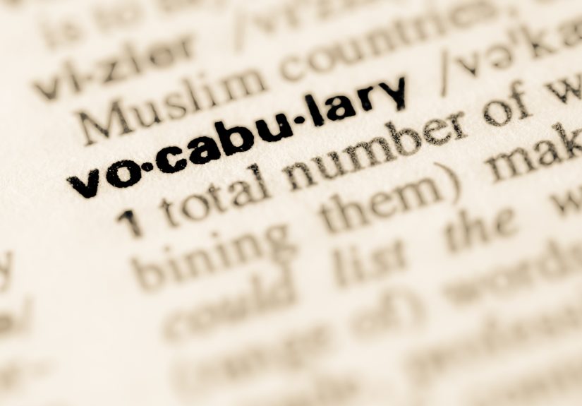 Vocabulary Quiz